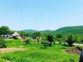  Terreno (Parcela) en venta en Puente De Ixtla, Morelos, Puente De Ixtla