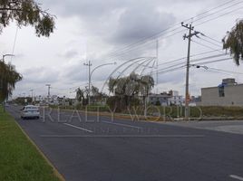  Grundstück zu verkaufen in Almoloya De Juarez, Mexico, Almoloya De Juarez