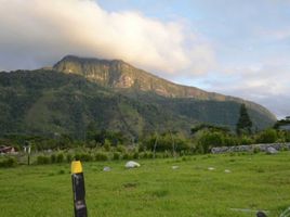  Terreno (Parcela) en venta en Chinacota, Norte De Santander, Chinacota