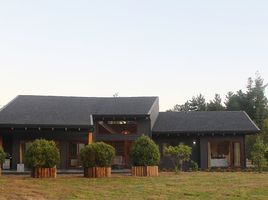 Studio House for rent in Futrono, Ranco, Futrono