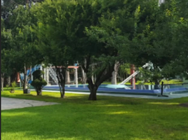  Hotel en venta en México, Chiautla, México