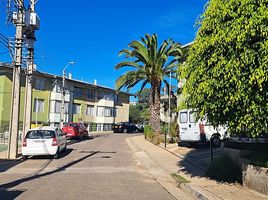 3 Habitación Apartamento en venta en Chile, Viña del Mar, Valparaíso, Valparaíso, Chile