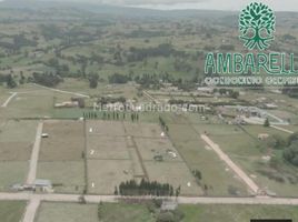  Terreno for sale in Minas Gerais, Campestre, Campestre, Minas Gerais