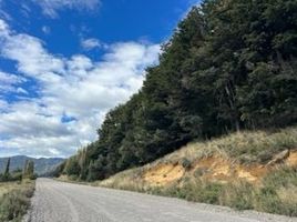  Land for sale in Chile, Rio Ibanez, General Carrera, Aisen Del General Carlos Ibanez Del Campo, Chile
