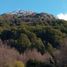  Land for sale in Chile, Rio Ibanez, General Carrera, Aisen Del General Carlos Ibanez Del Campo, Chile