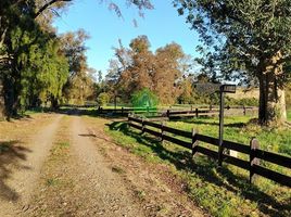  Land for sale in Chile, Osorno, Osorno, Los Lagos, Chile
