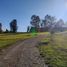  Land for sale in Chile, Osorno, Osorno, Los Lagos, Chile