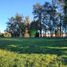  Land for sale in Chile, Osorno, Osorno, Los Lagos, Chile