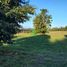  Land for sale in Chile, Osorno, Osorno, Los Lagos, Chile