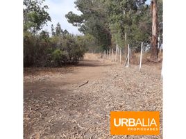  Land for sale in Nogales, Quillota, Nogales