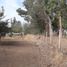  Land for sale in Nogales, Quillota, Nogales