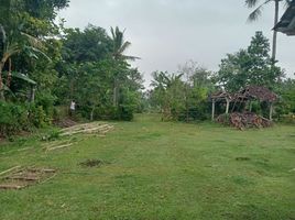  Land for sale in Jembrana, Bali, Negara, Jembrana