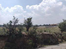  Grundstück zu verkaufen in Zinacatepec, Mexico, Zinacatepec