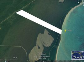  Grundstück zu verkaufen in Othon P Blanco, Quintana Roo, Othon P Blanco