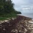  Grundstück zu verkaufen in Othon P Blanco, Quintana Roo, Othon P Blanco