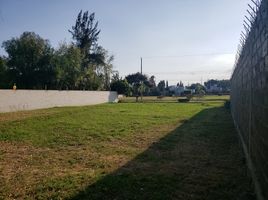  Grundstück zu verkaufen in Atlixco, Puebla, Atlixco, Puebla