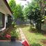 5 Bedroom Villa for rent in Menteng, Jakarta, Menteng, Jakarta Pusat