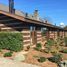  Land for sale in Chile, Puchuncavi, Valparaiso, Valparaiso, Chile