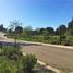  Land for sale in Chile, Puchuncavi, Valparaiso, Valparaiso, Chile