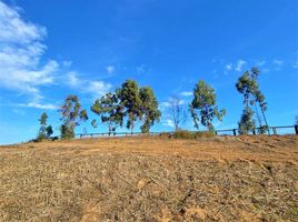  Land for sale in Chile, Puchuncavi, Valparaiso, Valparaiso, Chile