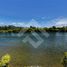  Land for sale in Los Rios, Futrono, Ranco, Los Rios