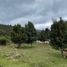  Land for sale in Chinacota, Norte De Santander, Chinacota