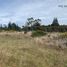  Terreno (Parcela) en venta en Llanquihue, Los Lagos, Puerto Varas, Llanquihue