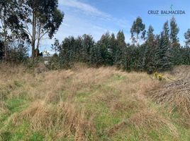  Terreno (Parcela) en venta en Llanquihue, Los Lagos, Puerto Varas, Llanquihue