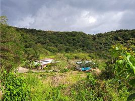 3 Schlafzimmer Villa zu verkaufen in Boquete, Chiriqui, Alto Boquete