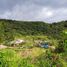 3 Schlafzimmer Haus zu verkaufen in Boquete, Chiriqui, Alto Boquete