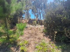  Terreno (Parcela) en venta en Valparaíso, Casa Blanca, Valparaíso, Valparaíso