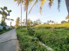  Land for sale in Ngemplak, Sleman, Ngemplak