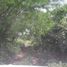  Land for sale in Paso De Ovejas, Veracruz, Paso De Ovejas