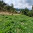  Terreno (Parcela) en venta en Dosquebradas, Risaralda, Dosquebradas