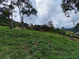  Terreno (Parcela) en venta en Dosquebradas, Risaralda, Dosquebradas