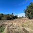  Terreno (Parcela) en venta en Araucanía, Villarrica, Cautín, Araucanía