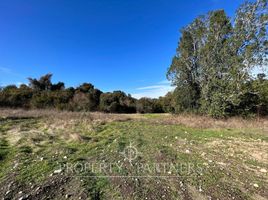  Terreno (Parcela) en venta en Araucanía, Villarrica, Cautín, Araucanía