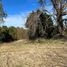  Terreno (Parcela) en venta en Araucanía, Villarrica, Cautín, Araucanía