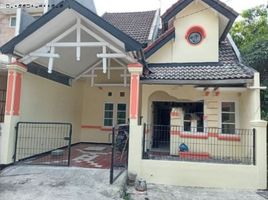 2 Schlafzimmer Haus zu verkaufen in Tambaksari, East Jawa, Tambaksari