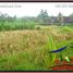  Land for sale in Sukawati, Gianyar, Sukawati