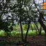  Land for sale in Villa De Alvarez, Colima, Villa De Alvarez