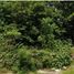  Land for sale in Uman, Yucatan, Uman