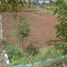  Land for sale in Malang Regency, East Jawa, Singosari, Malang Regency