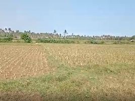  Terrain for sale in Sukabumi, West Jawa, Sukabumi, Sukabumi