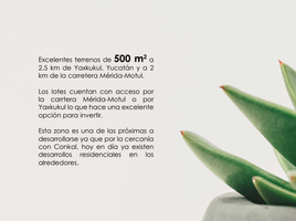  Land for sale in Tixkokob, Yucatan, Tixkokob