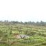  Land for sale in Chile, San Clemente, Talca, Maule, Chile