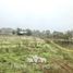  Land for sale in Chile, San Clemente, Talca, Maule, Chile