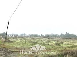  Land for sale in Chile, San Clemente, Talca, Maule, Chile