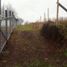  Land for sale in Chile, Paillaco, Valdivia, Los Rios, Chile