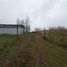  Land for sale in Chile, Paillaco, Valdivia, Los Rios, Chile